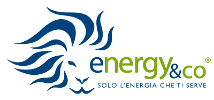 logo energy and co